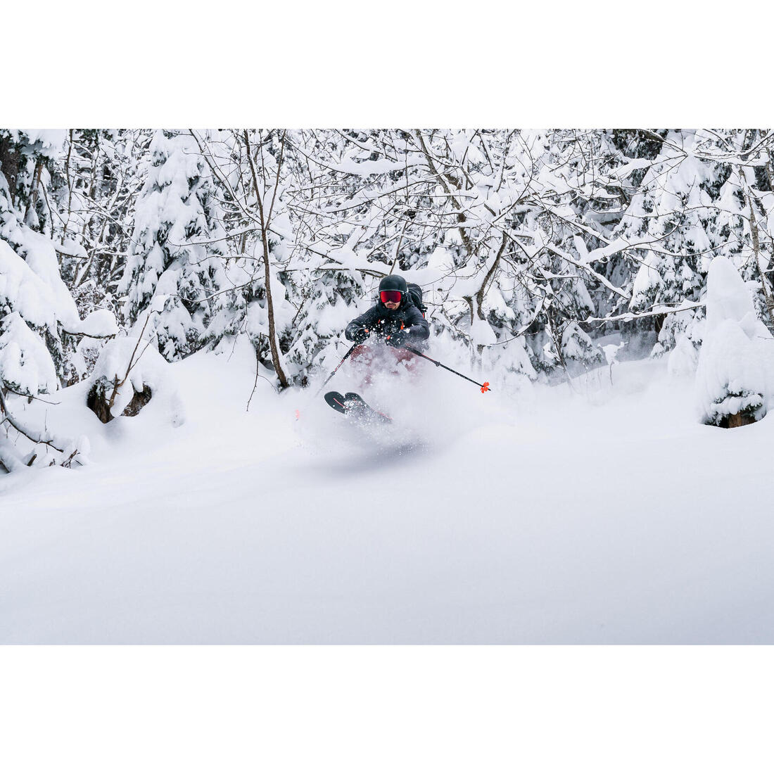 IMG_8556180_15