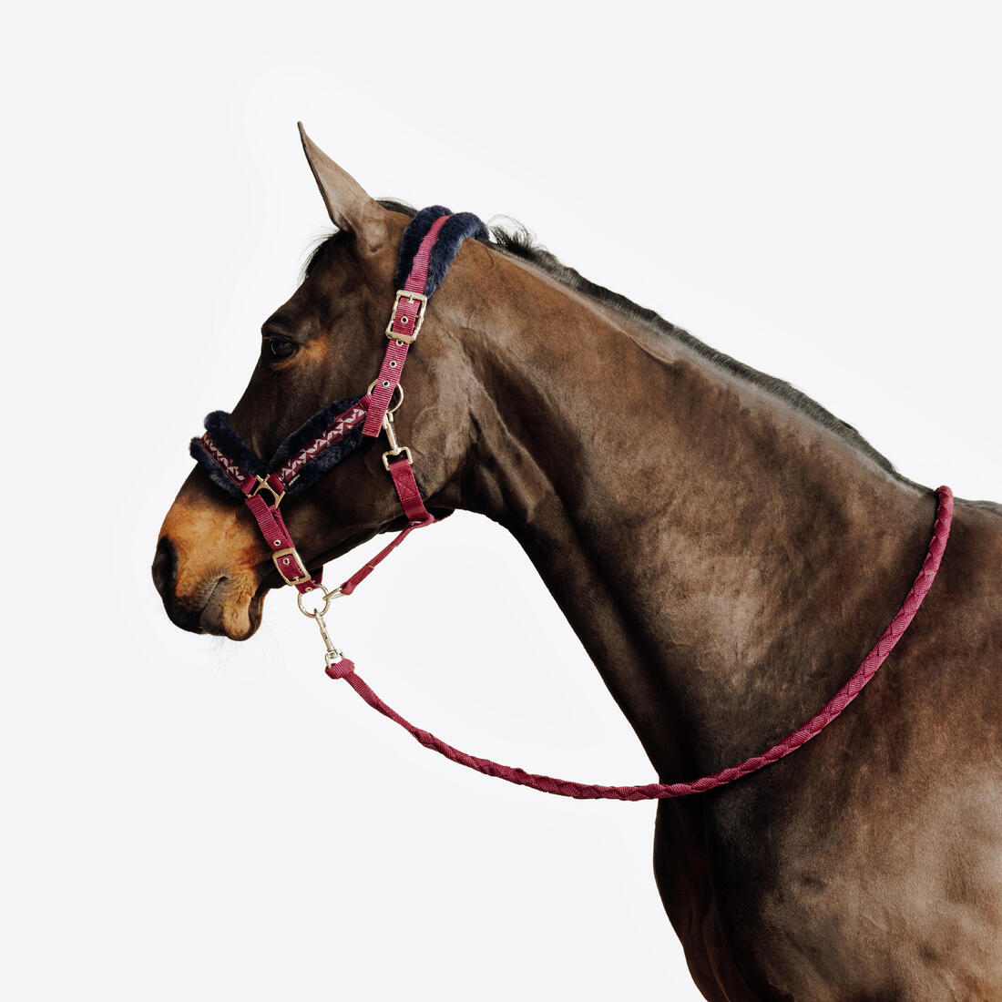 IMG_2890776
