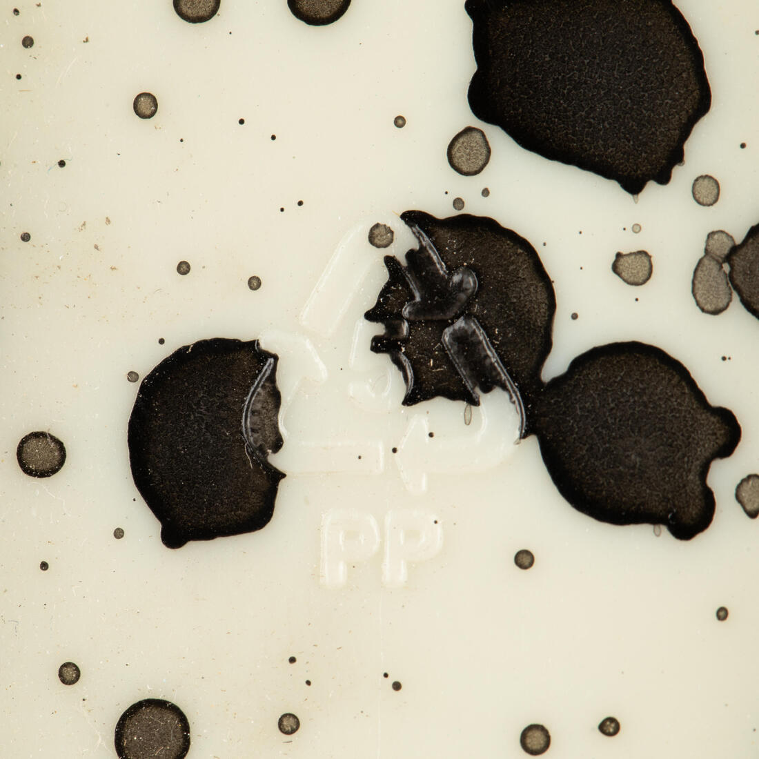 IMG_8651106_5