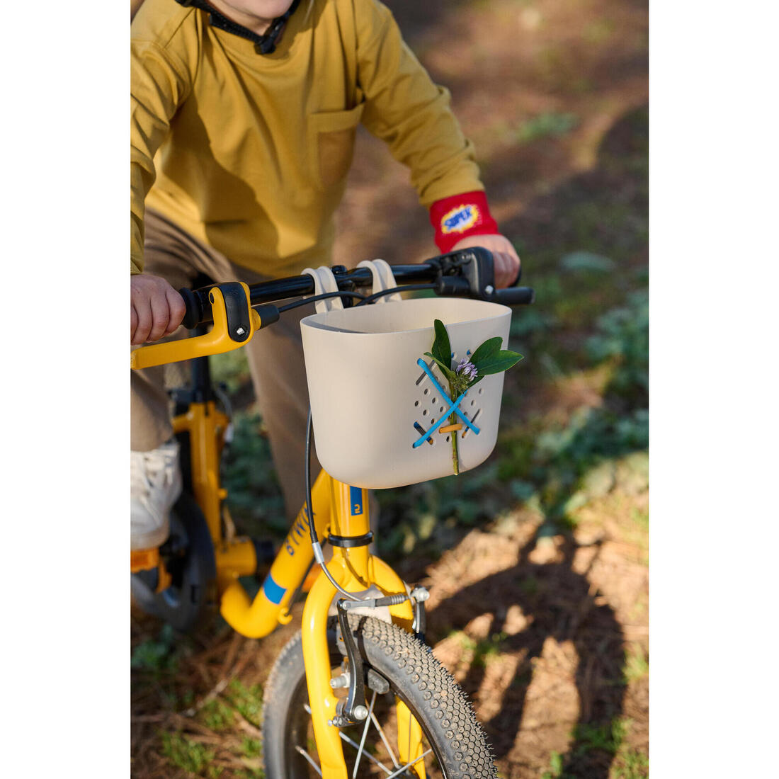 IMG_2699744