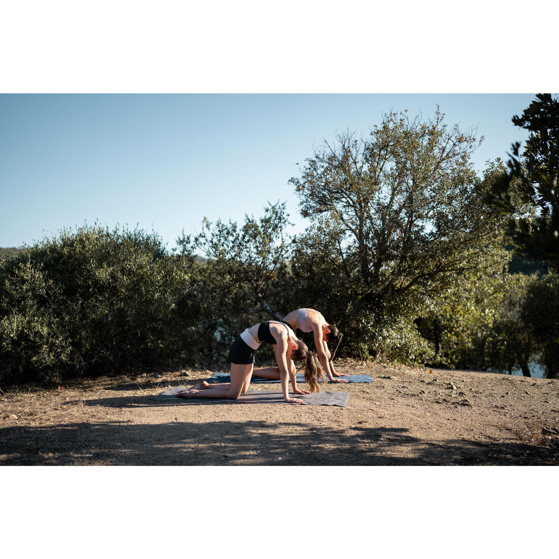 IMG_8600698_12