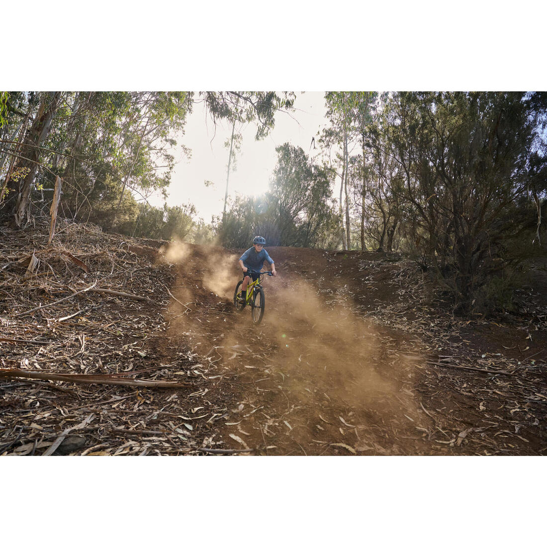 IMG_8733739_14
