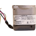 IMG_2334817