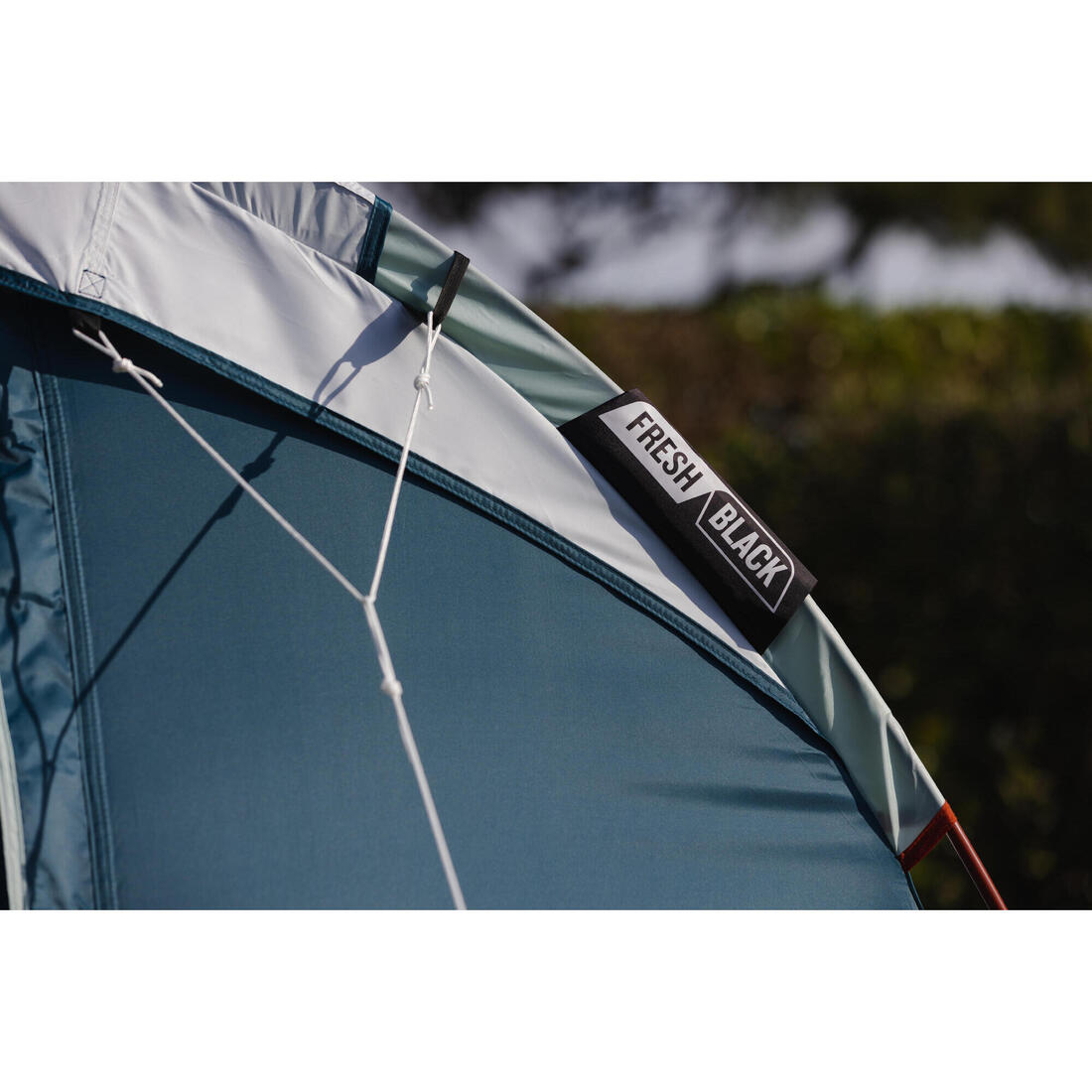 IMG_2501994