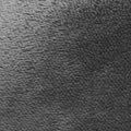 IMG_8646308_3