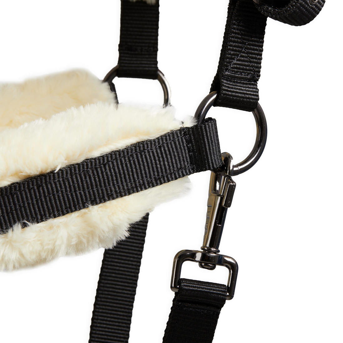IMG_8579445_2