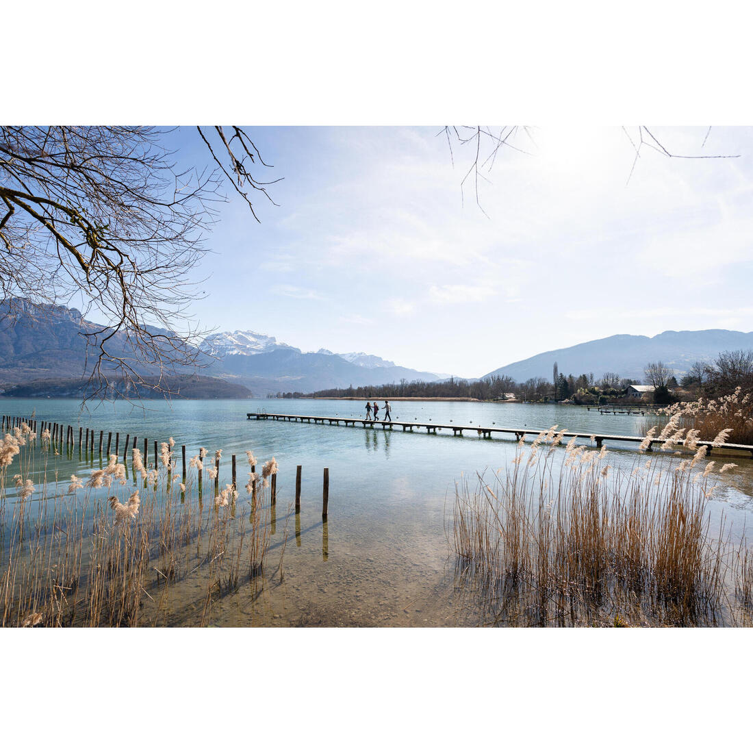 IMG_8871492_10