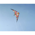 IMG_8394878_18
