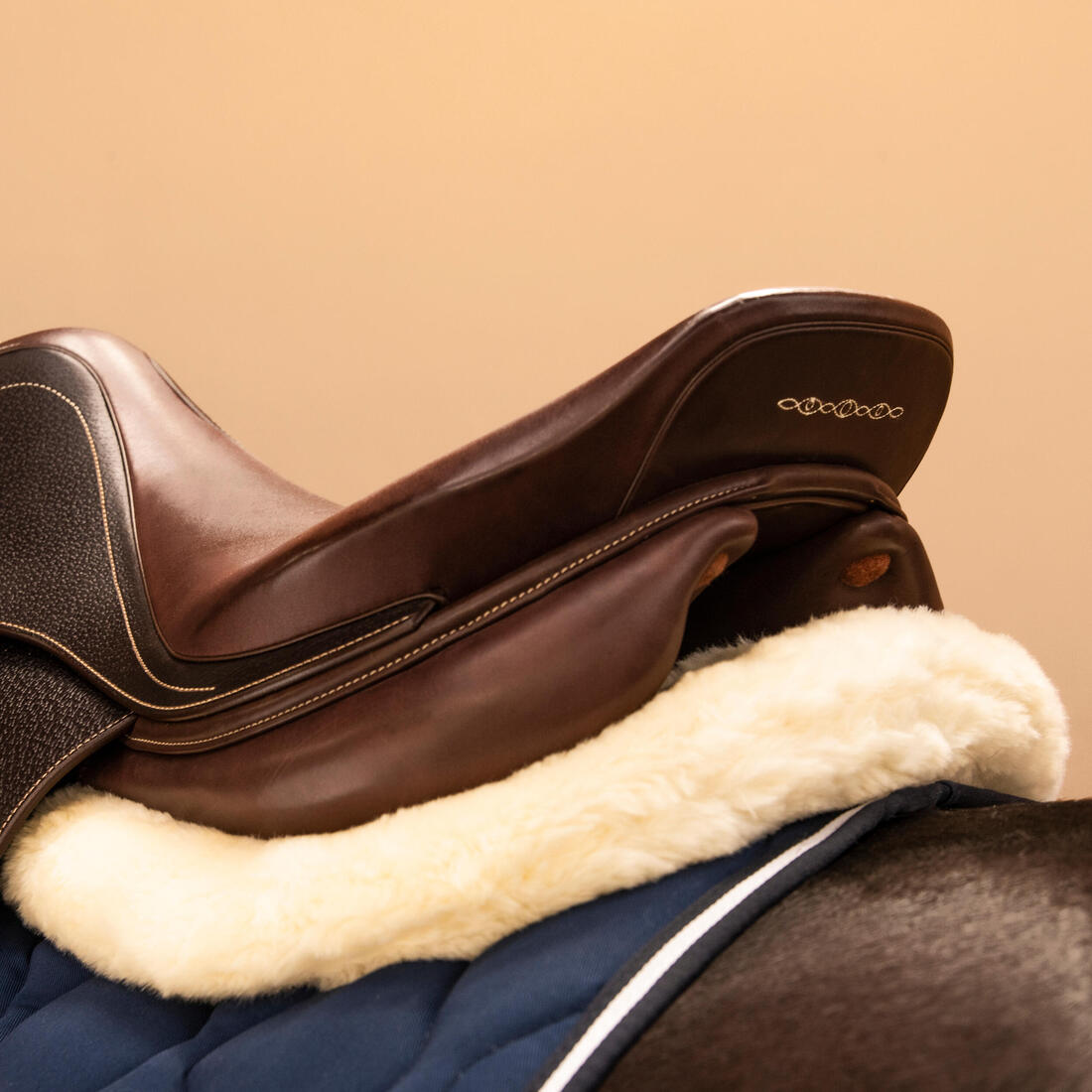 IMG_2217754