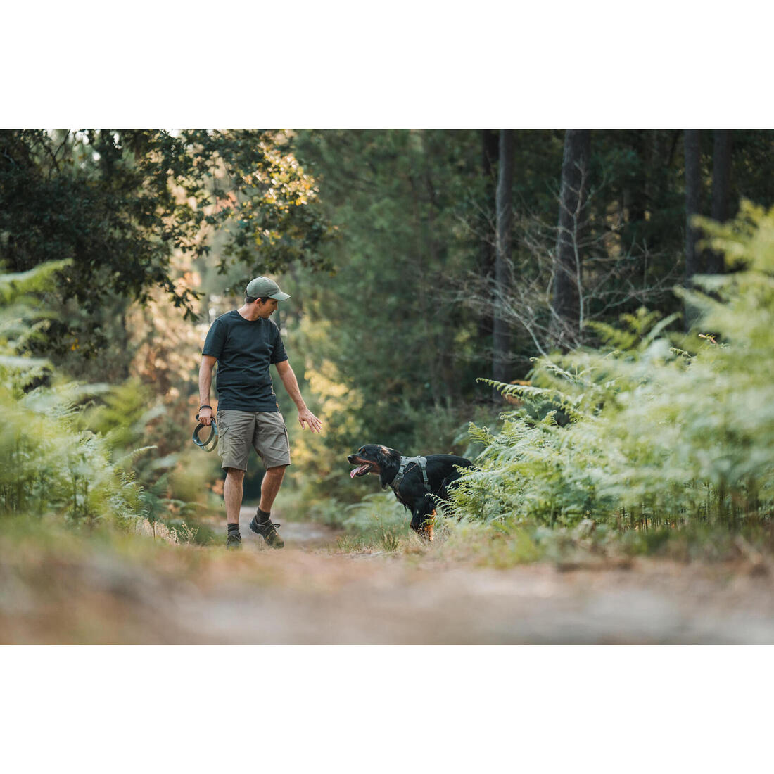 IMG_8734974_8
