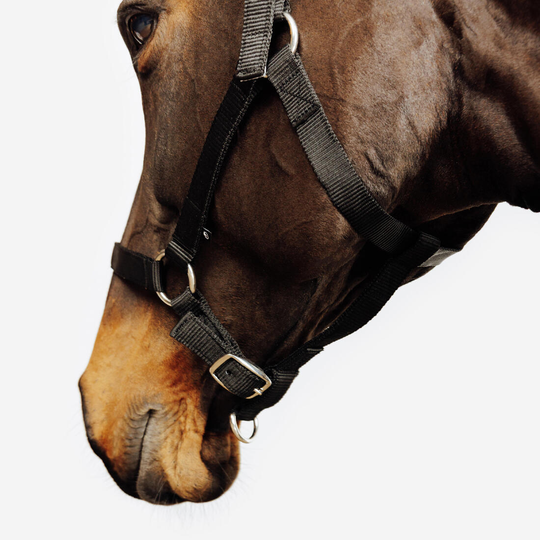 IMG_8916443_3