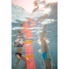 8646136