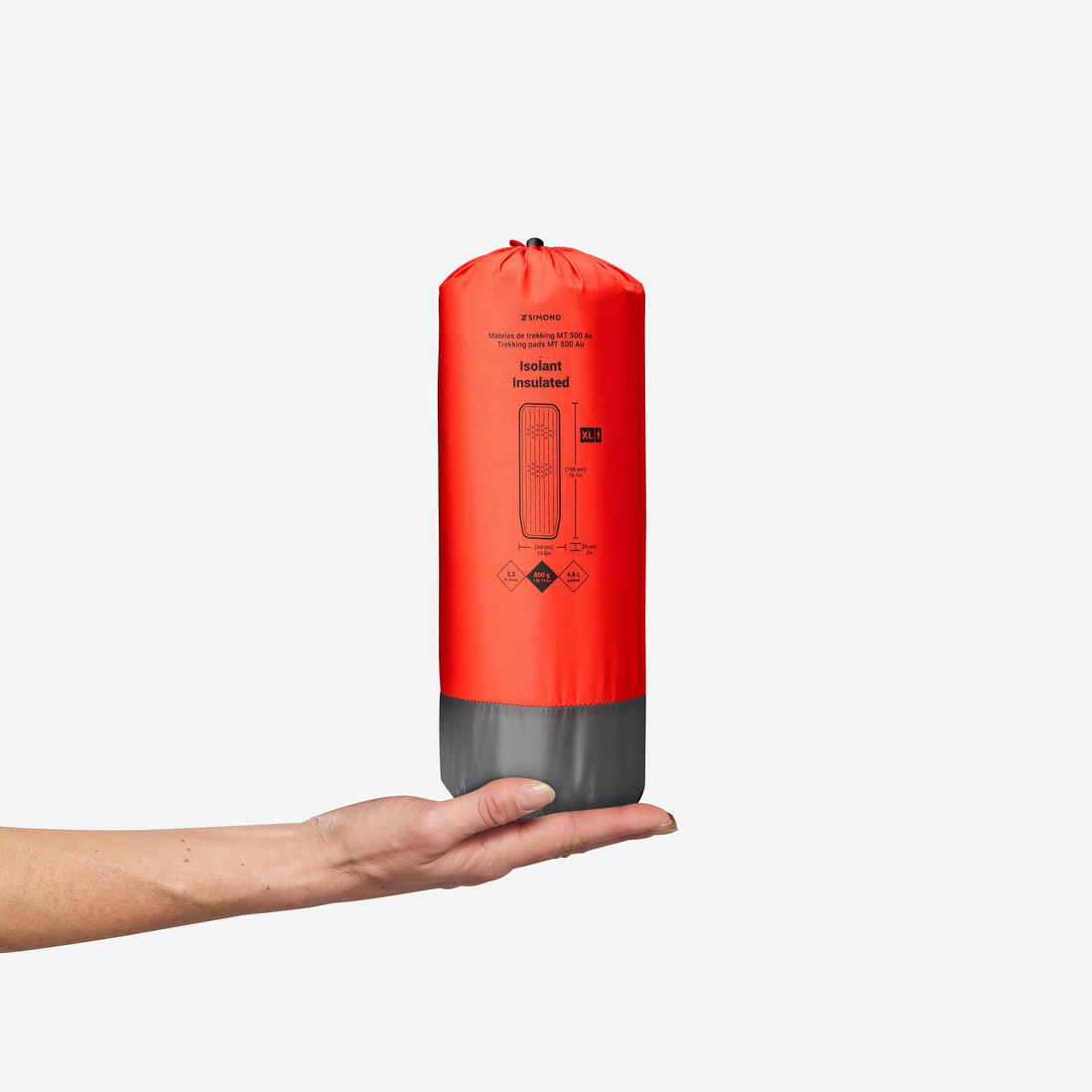 IMG_2816262