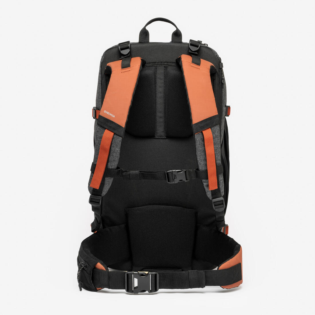 IMG_8787846_6