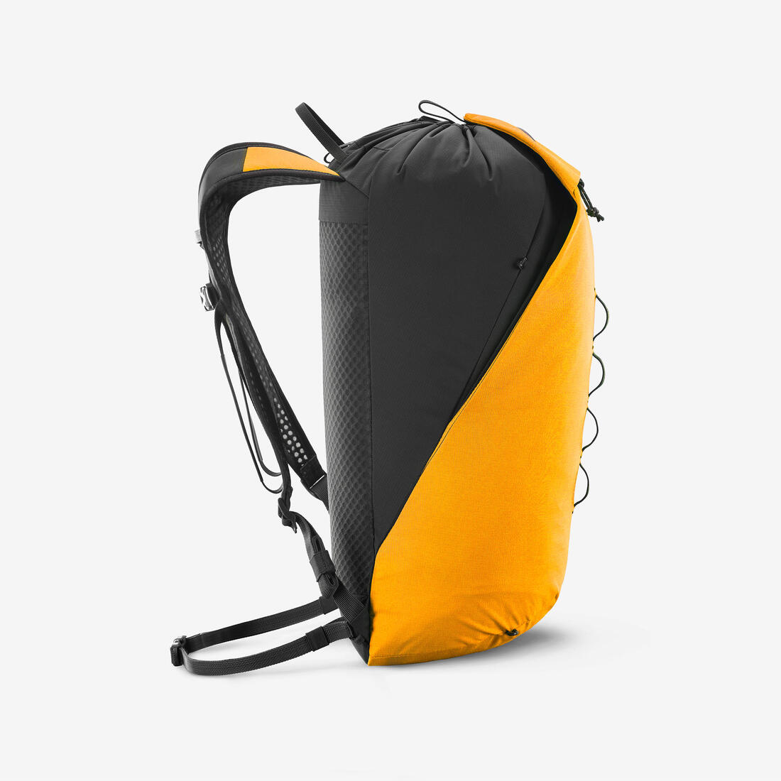 IMG_8600295_5