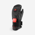 IMG_8575224_1